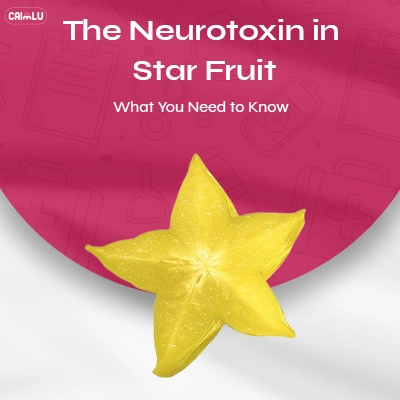 Is Star Fruit Dangerous to Eat or Not Find Out Now Caimlu