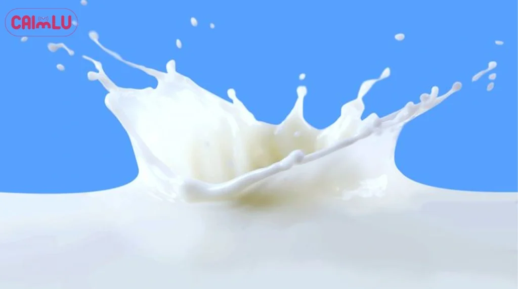 Milk Solids Uses & Nutritional Facts Explained