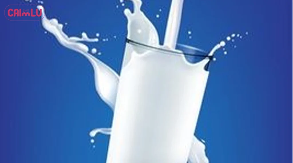 Milk Solids What They Are